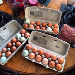 My haul from the farm.  3 dozen eggs and a pound of beef for $12