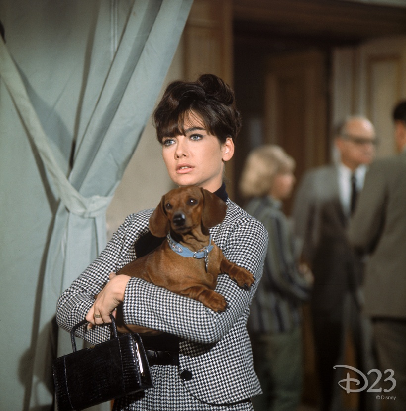 Suzanne Pleshette filming "The Ugly Dachshund"